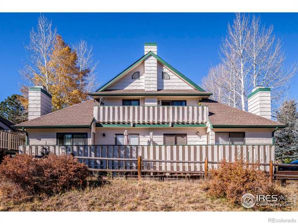 1010 S Saint Vrain AVE #6, Estes Park, CO 80517