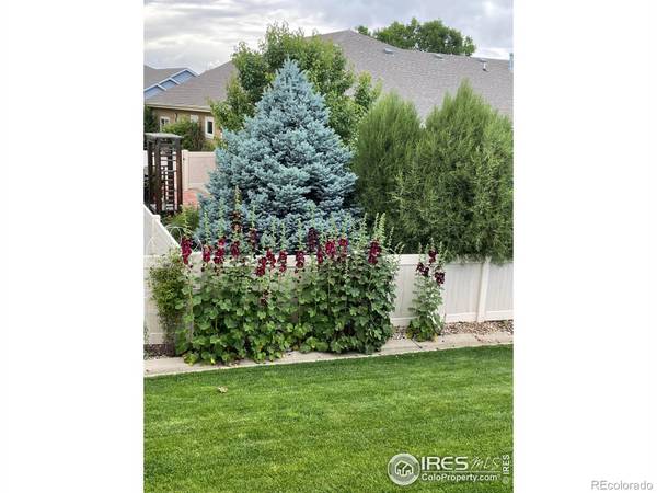 Loveland, CO 80538,855 Norway Maple DR