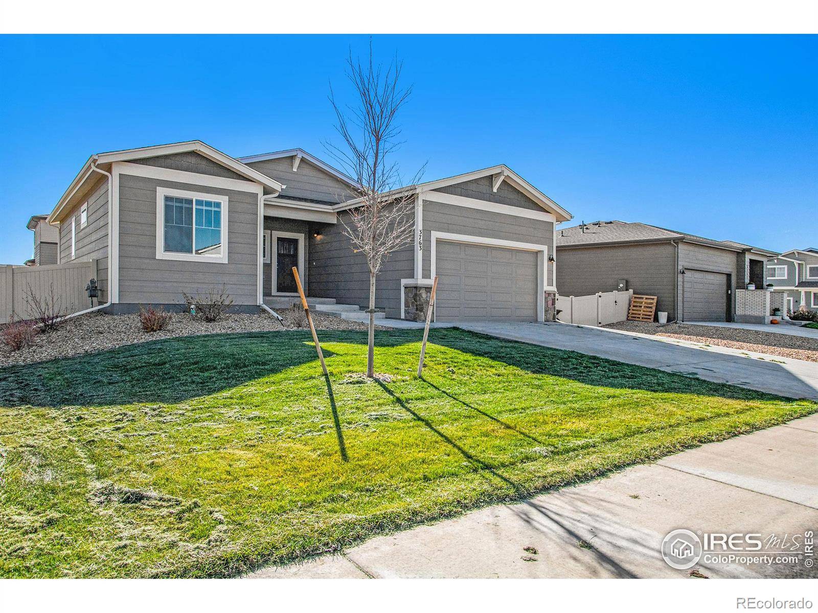 Wellington, CO 80549,3763 Sweetgum ST