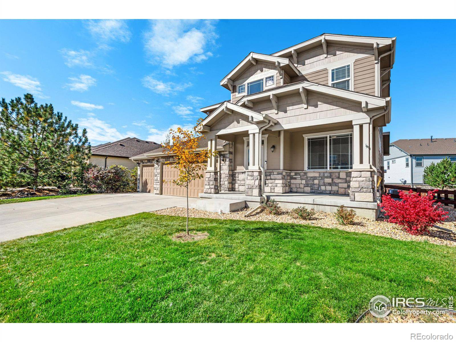 2084 Bayfront DR, Windsor, CO 80550