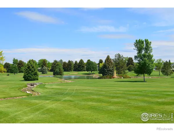 Fort Collins, CO 80524,1544 Adriel CT