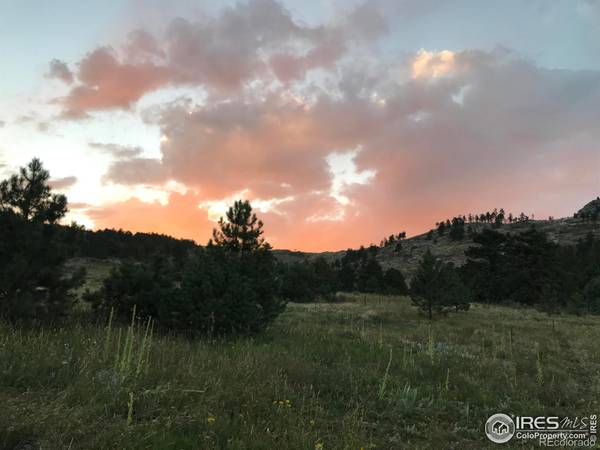 17 Sage Hen PL, Drake, CO 80515