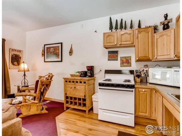 Estes Park, CO 80517,1480 David DR #2