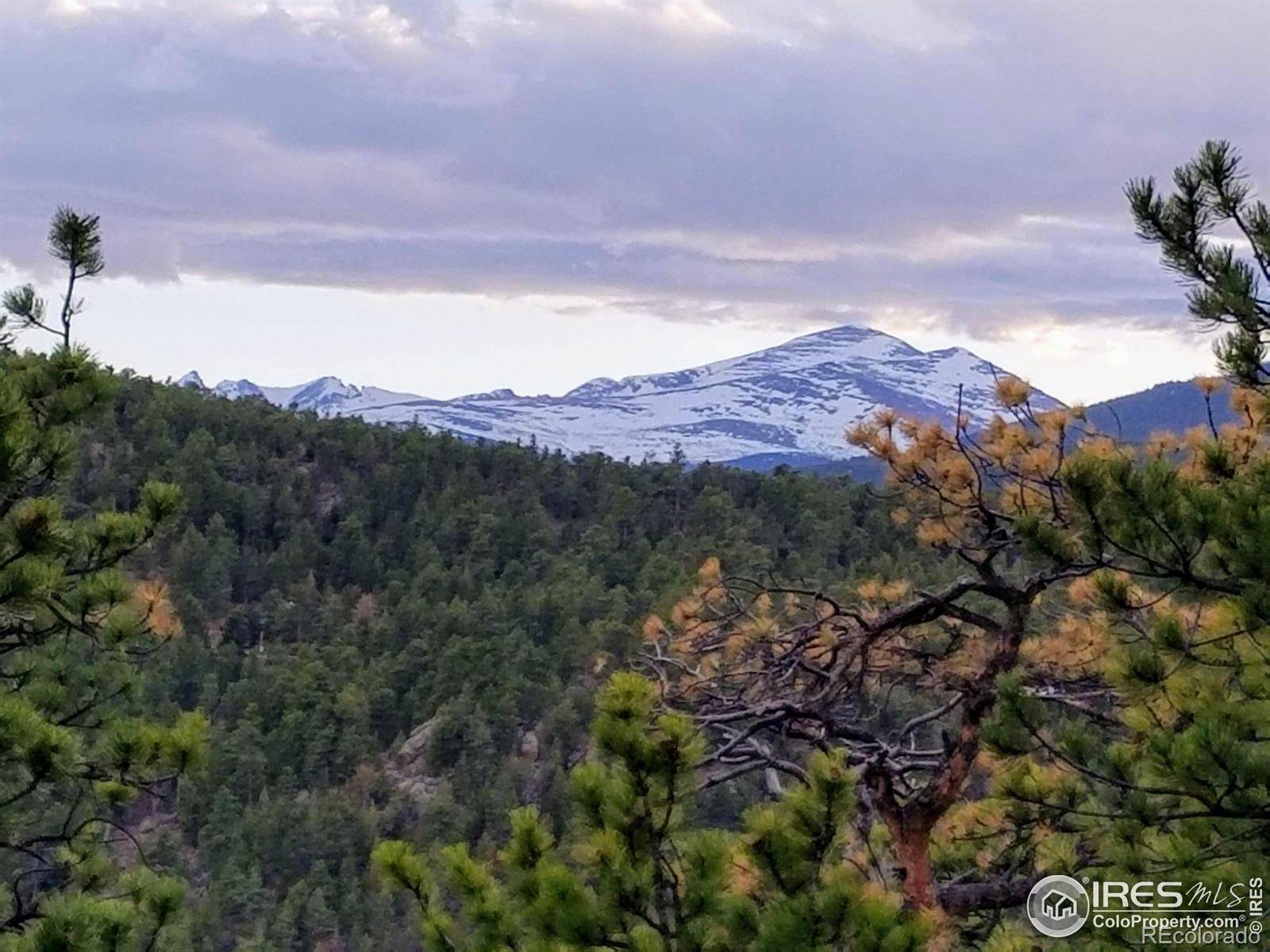 Lyons, CO 80540,49 Pine DR