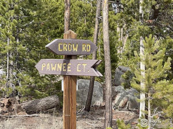 Red Feather Lakes, CO 80545,17 Pawnee CT