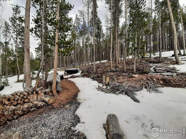 Red Feather Lakes, CO 80545,518 Huron RD