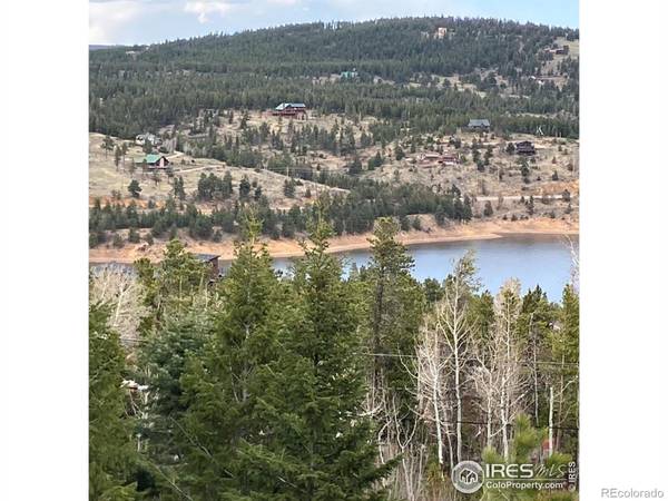 Nederland, CO 80466,75 Valley View DR