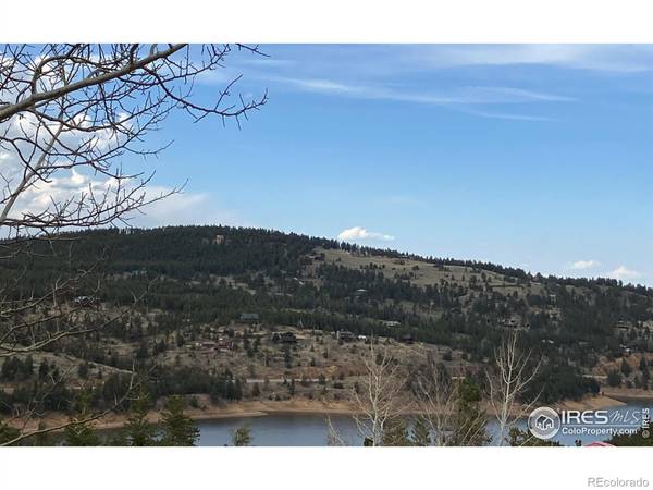 Nederland, CO 80466,75 Valley View DR