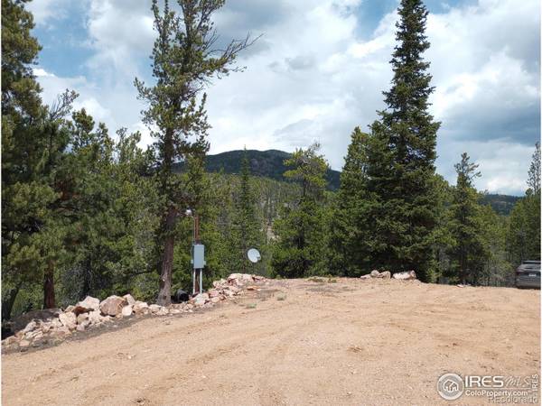 Red Feather Lakes, CO 80545,1445 Ottawa WAY