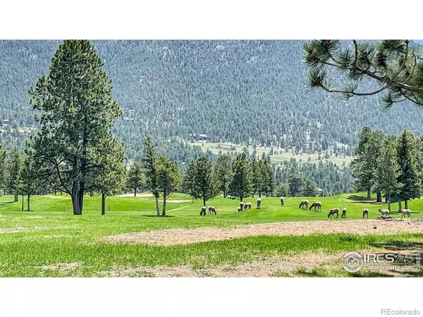 Estes Park, CO 80517,1310 Matthew CIR