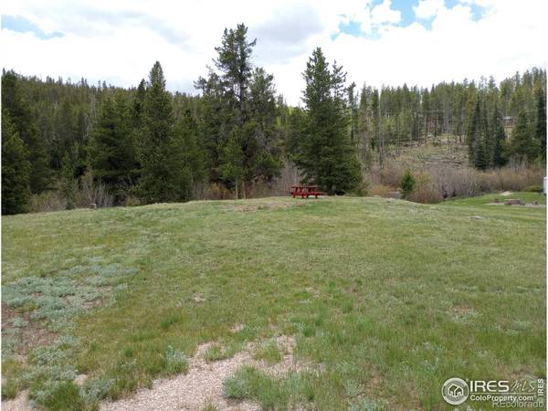 Red Feather Lakes, CO 80545,7638 Ottawa WAY