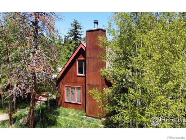 225 W Breed ST, Nederland, CO 80466