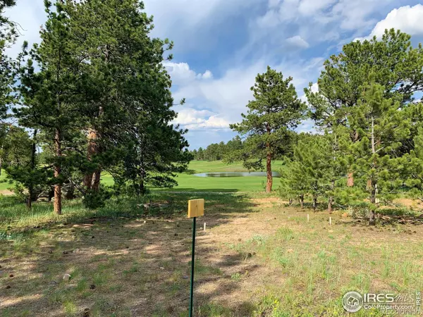 Red Feather Lakes, CO 80545,2 E Fox Meadow LN #Lot 2