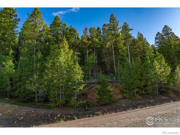 Golden, CO 80403,11956 Coal Creek Heights DR