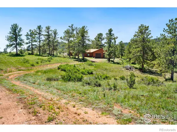 Livermore, CO 80536,1633 Mount Simon DR
