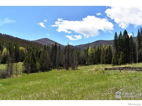 4059 Forest Road 129, Bellvue, CO 80512