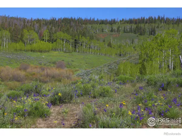 Toponas, CO 80479,0 County Road 225