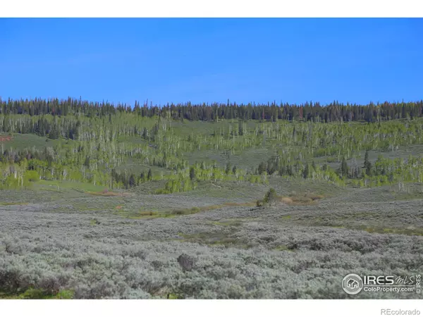 Toponas, CO 80479,0 County Road 225