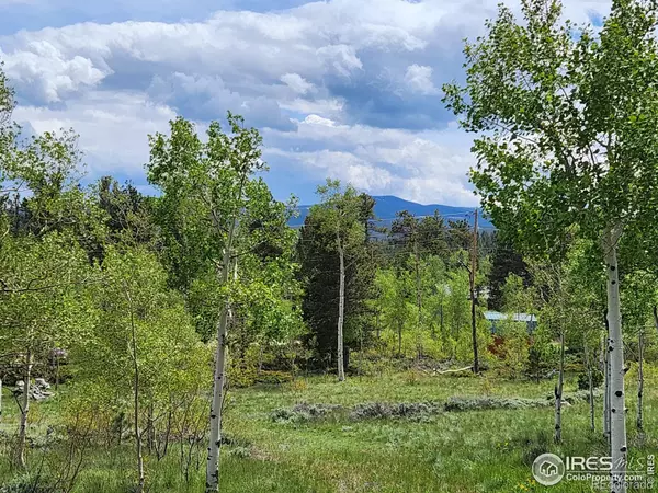 Red Feather Lakes, CO 80545,6427 Ottawa WAY