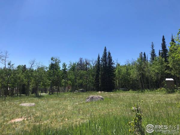 Red Feather Lakes, CO 80545,397 Tesuque TRL