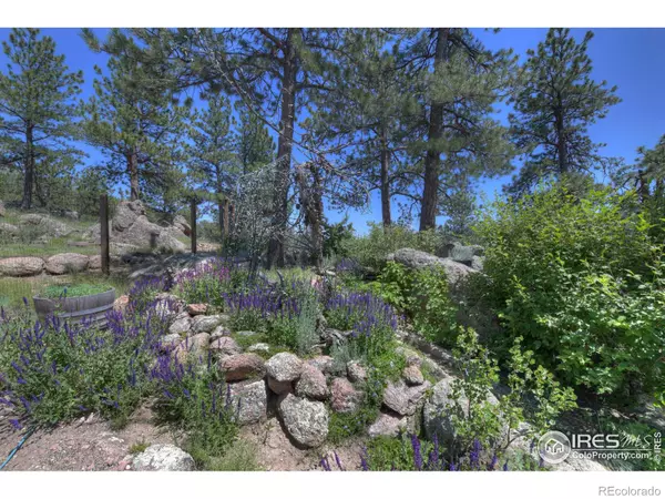 Lyons, CO 80540,57 Ogallala RD