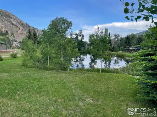 Bellvue, CO 80512,105 Riverside DR