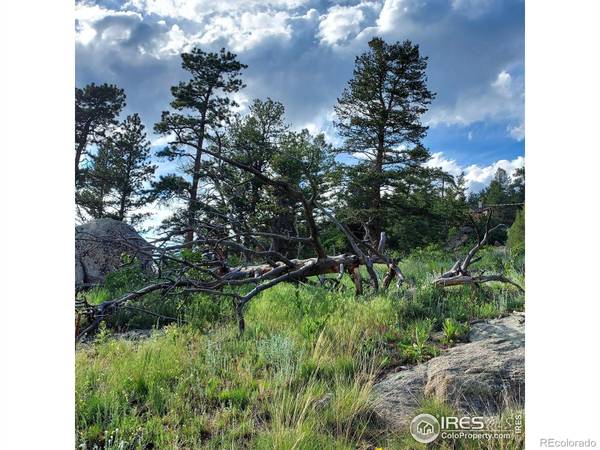 Estes Park, CO 80517,256 Pinyon TRL