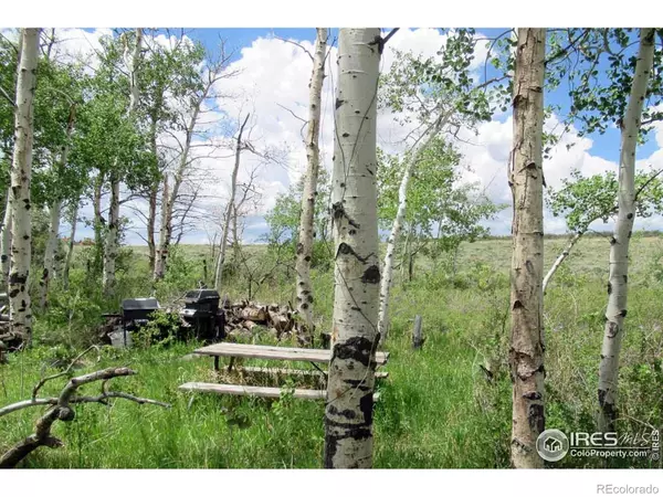 Livermore, CO 80536,N County Road 89