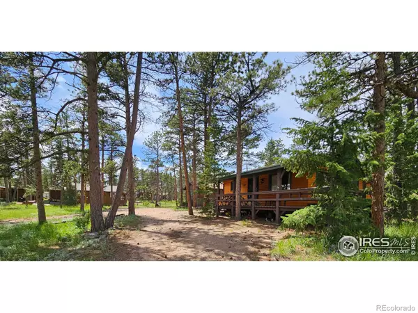 Red Feather Lakes, CO 80545,21 Tennis DR