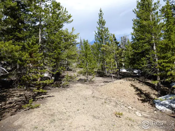 Black Hawk, CO 80422,1000 American City RD