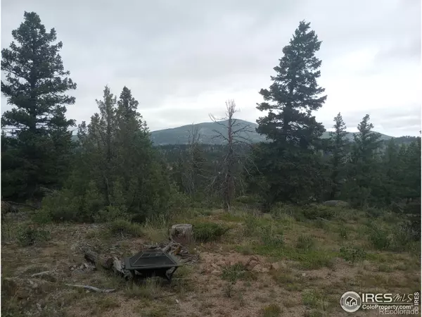 Red Feather Lakes, CO 80545,271 Shawnee RD