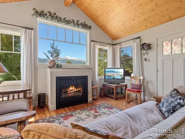 Estes Park, CO 80517,540 Laurel LN #9