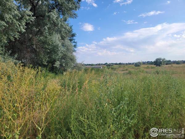 Longmont, CO 80504,5818 County Road 22 #Lot 4