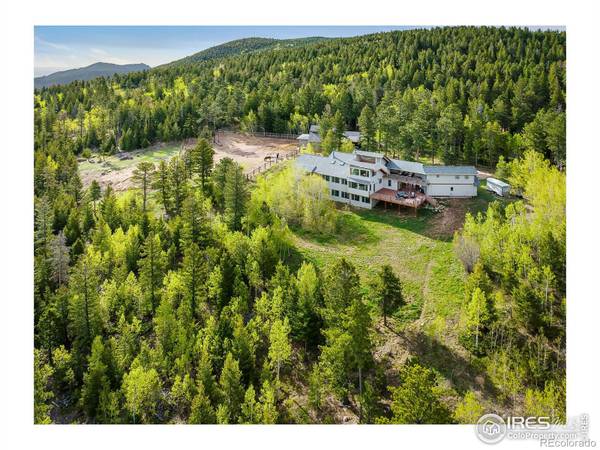 4890 Magnolia DR, Nederland, CO 80466