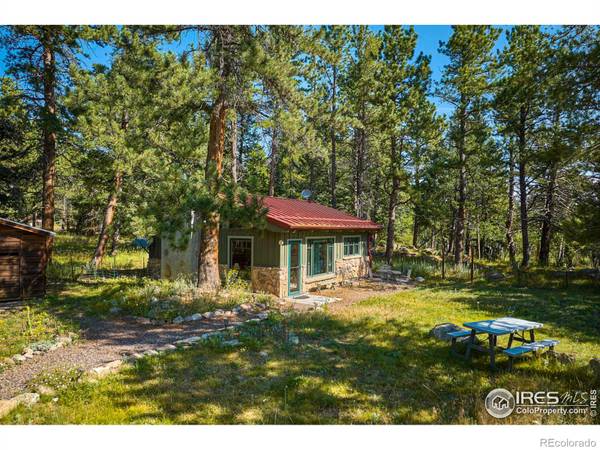 Nederland, CO 80466,131 Ponderosa WAY