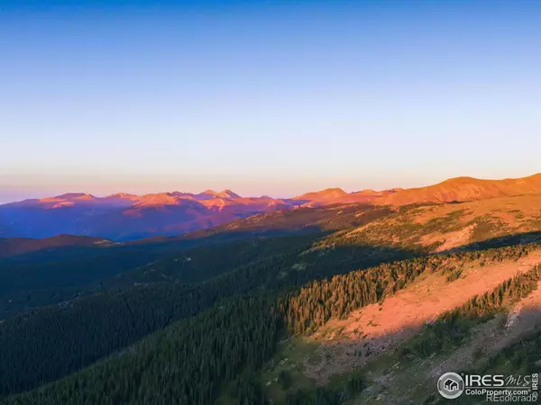 Idaho Springs, CO 80452,8821 Fall River RD