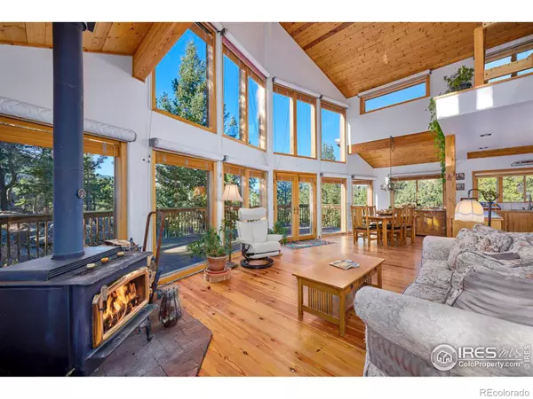 Nederland, CO 80466,200 Rocky Knob LN