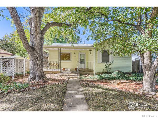 1009 Terry ST, Longmont, CO 80501