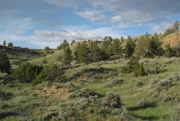 Roundup, MT 59072,1 Comet LN