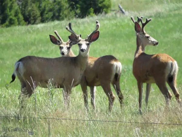 Belt, MT 59463,TBD US Hwy 89