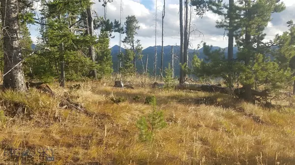 Anaconda, MT 59711,Nhn Old Georgetown RD