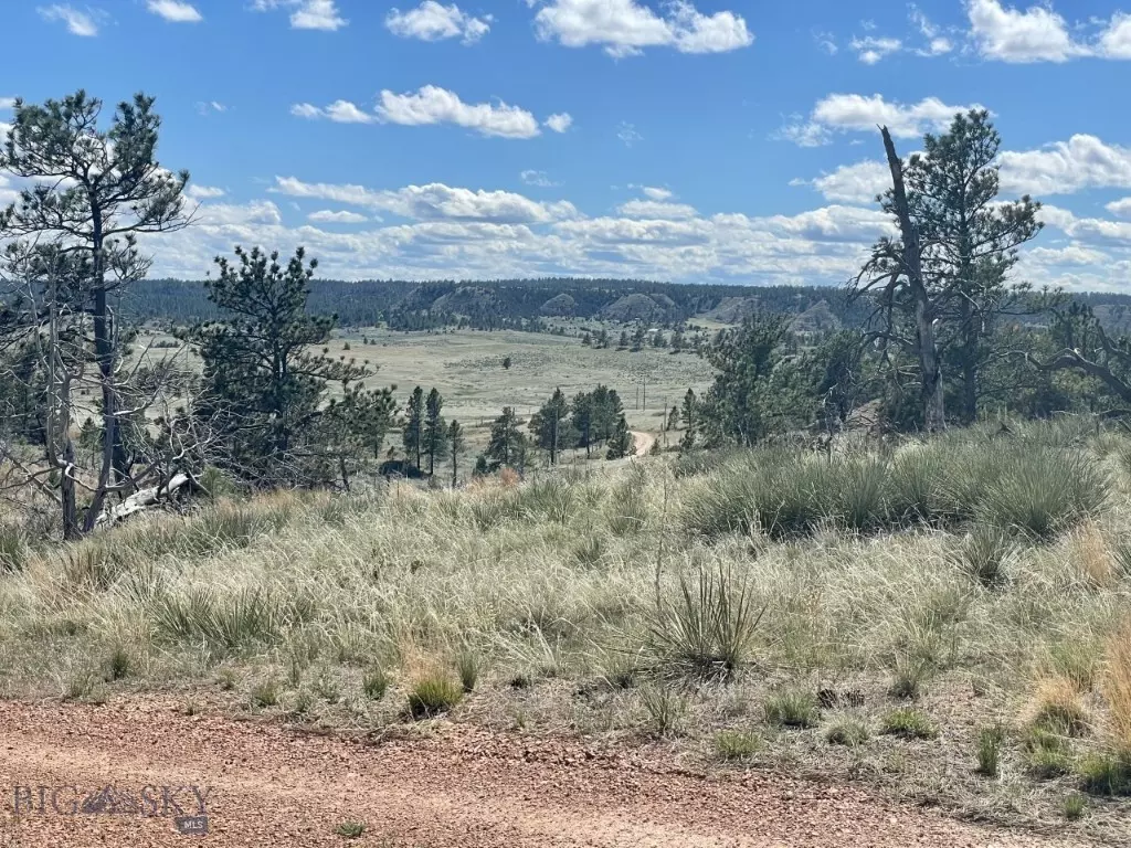 Miles City, MT 59301,NHN Morningside Ln