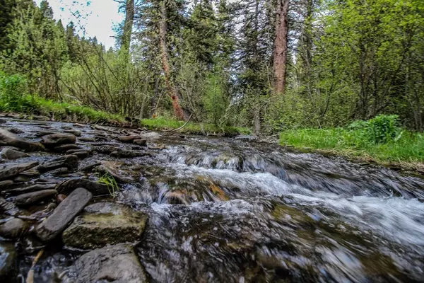 Bozeman, MT 59715,Stone Creek Retreat in Bridger Canyon