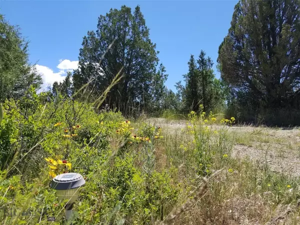 Three  Forks, MT 59752,222 Broken Creek