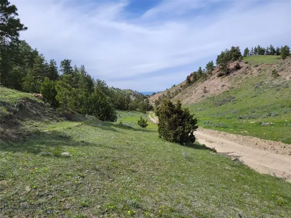 Miles City, MT 59301,NHN Squirrel Ridge RD