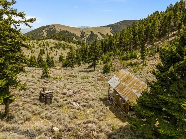 Pony, MT 59747,20 AC Cataract Creek RD