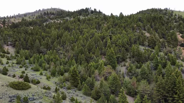 Clarkston, MT 59752,276 Lone Wolf Trail