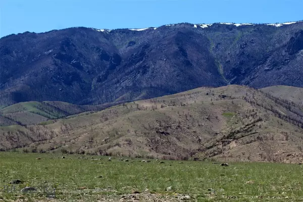 Belfry, MT 59008,nhn Ruby Creek RD #946-8