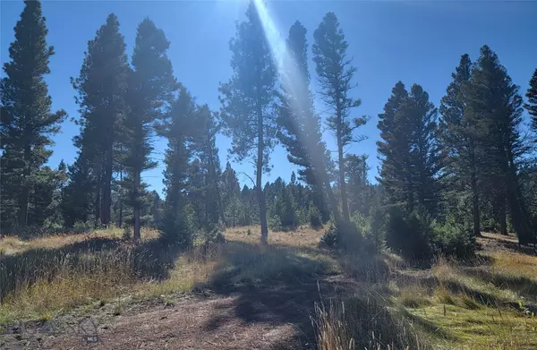 323 Trail End RD, Helmville, MT 59843