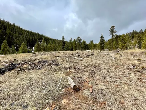 Wise River, MT 59762,TBD Quartz Hill Rd - Luna Lode